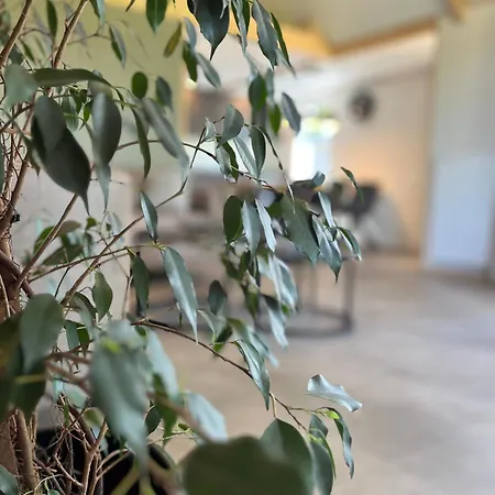Kamp alanı Campingpark De Linie *