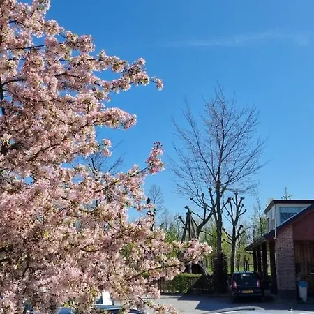 Campingpark De Linie *