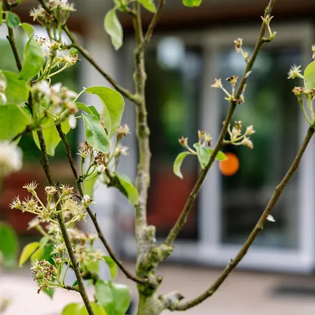 营地 Campingpark De Linie *