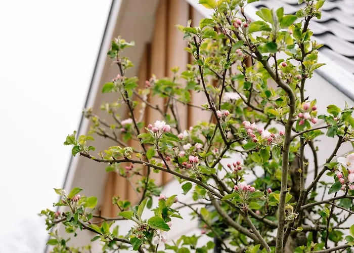 Campingpark De Linie *