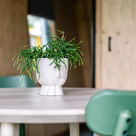 キャンプ場 Campingpark De Linie Opheusden
